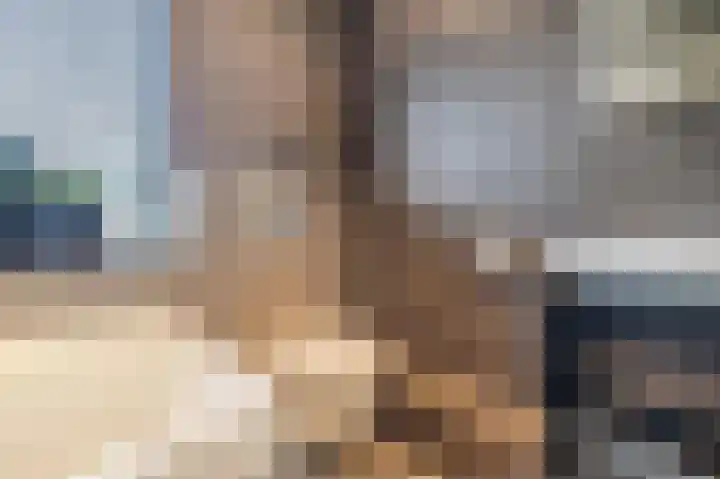 Biggekruid 12 Beilen thumbnail 38