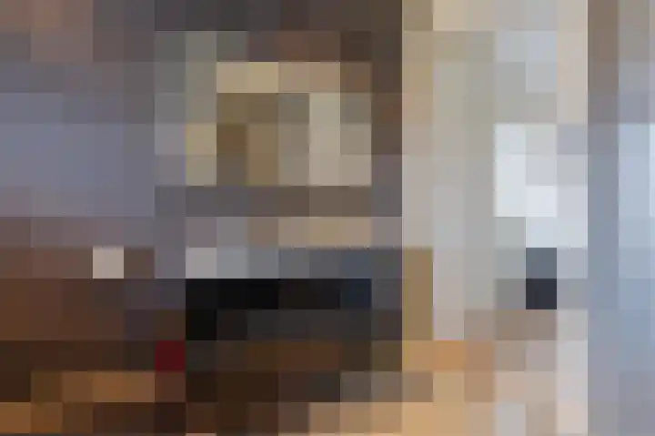 Biggekruid 12 Beilen thumbnail 39