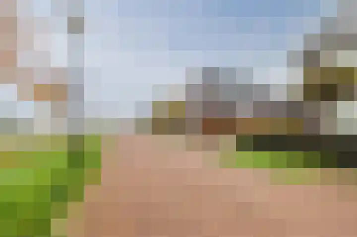 Biggekruid 12 Beilen thumbnail 4