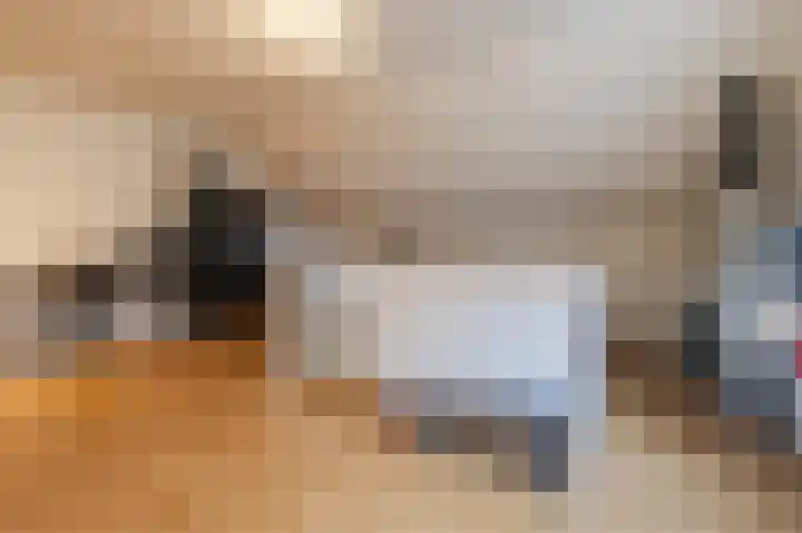 Biggekruid 12 Beilen thumbnail 41