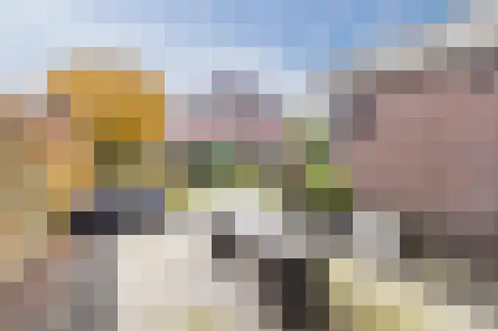 Biggekruid 12 Beilen thumbnail 43