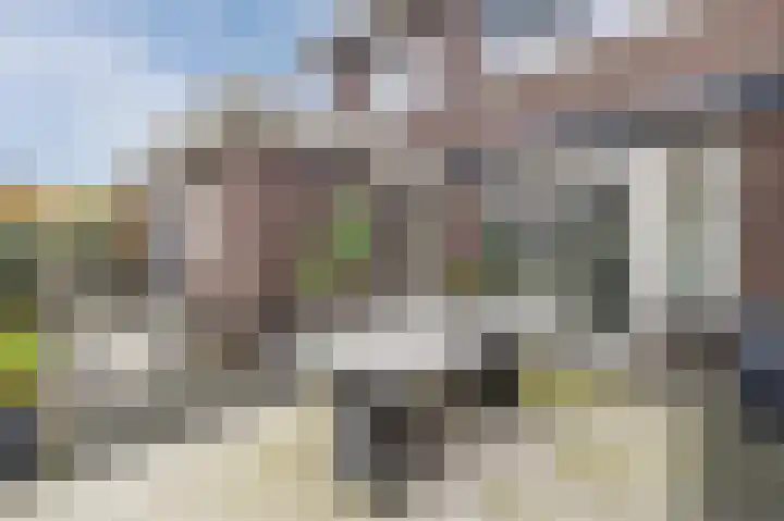 Biggekruid 12 Beilen thumbnail 44