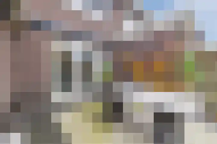 Biggekruid 12 Beilen thumbnail 45