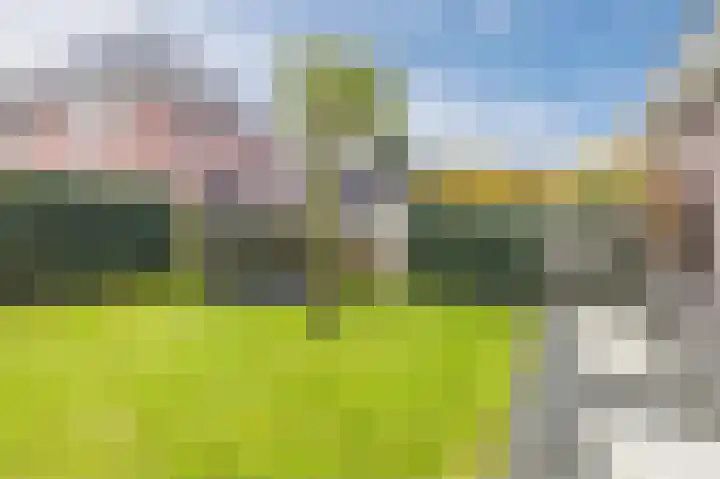 Biggekruid 12 Beilen thumbnail 46