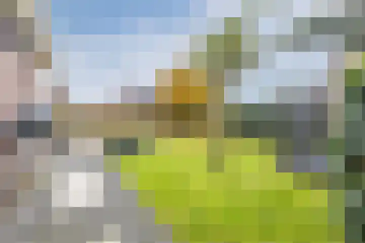 Biggekruid 12 Beilen thumbnail 47