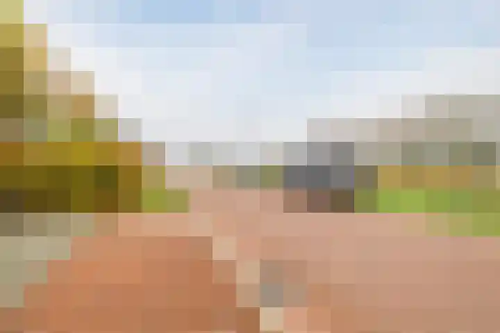Biggekruid 12 Beilen thumbnail 48