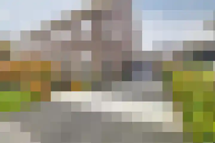 Biggekruid 12 Beilen thumbnail 5