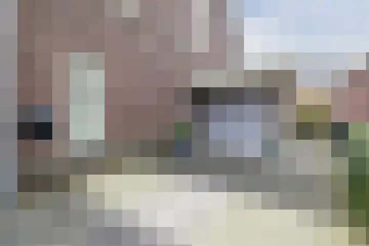 Biggekruid 12 Beilen thumbnail 6