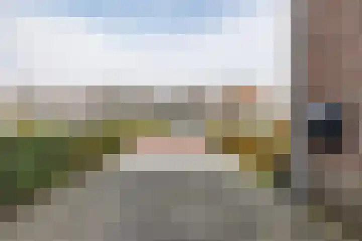 Biggekruid 12 Beilen thumbnail 7