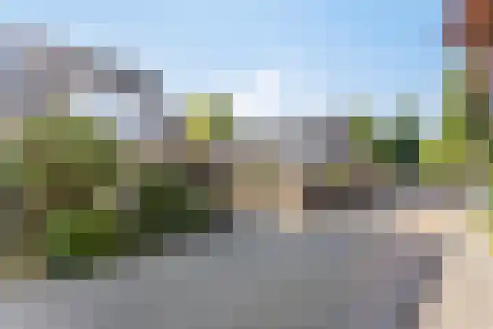 Biggekruid 2 Asten foto 2