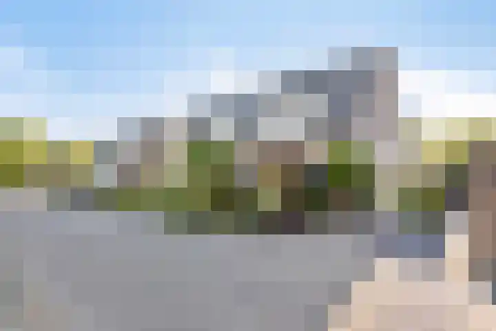 Biggekruid 2 Asten foto 3