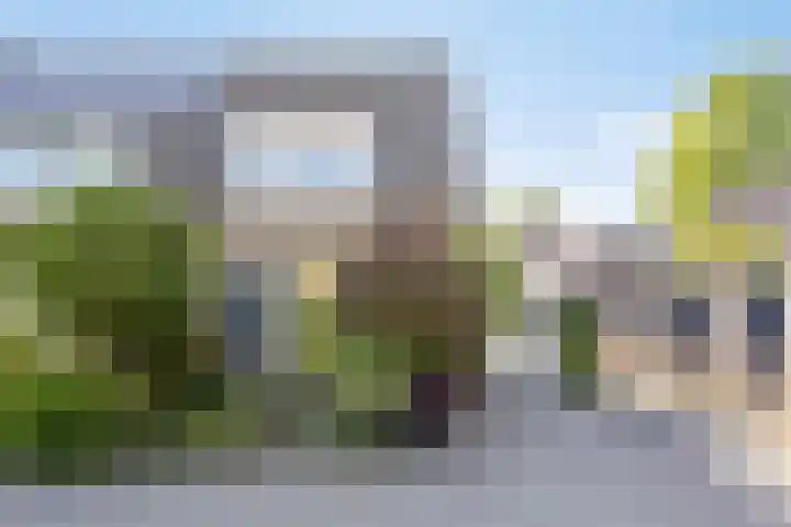 Biggekruid 2 Asten thumbnail 4
