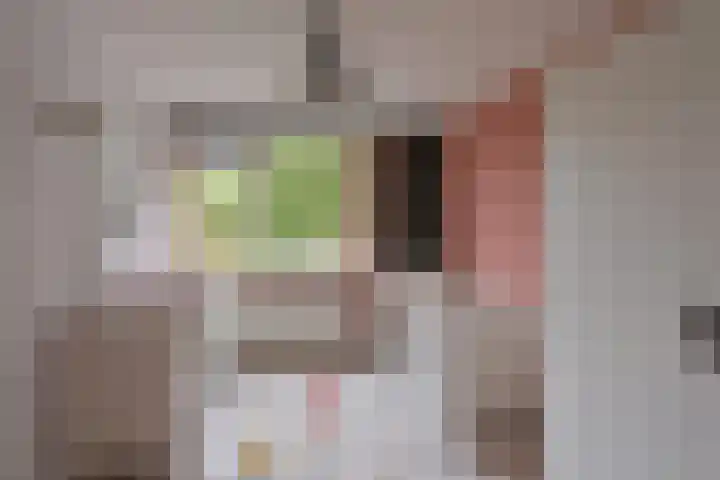 Biggekruid 3 Huizen thumbnail 11