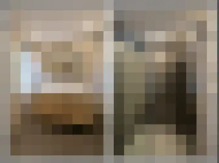 Biggekruid 3 Huizen thumbnail 12