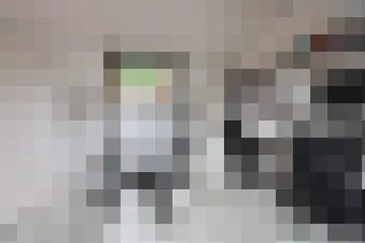 Biggekruid 3 Huizen thumbnail 13
