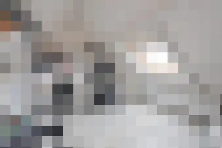 Biggekruid 3 Huizen thumbnail 14