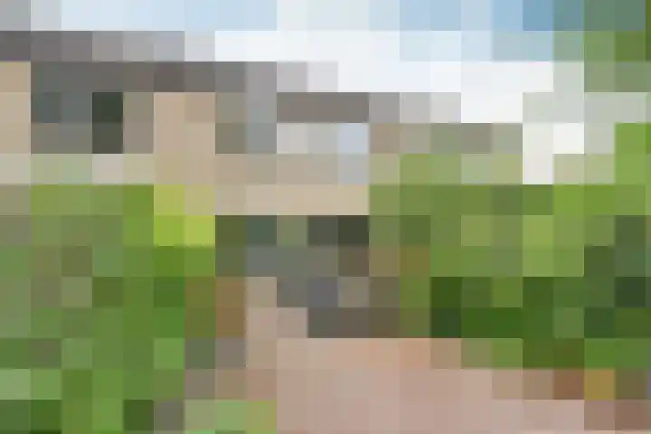 Biggekruid 3 Huizen thumbnail 16