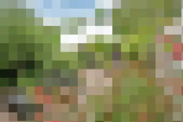 Biggekruid 3 Huizen thumbnail 17