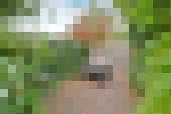 Biggekruid 3 Huizen thumbnail 18