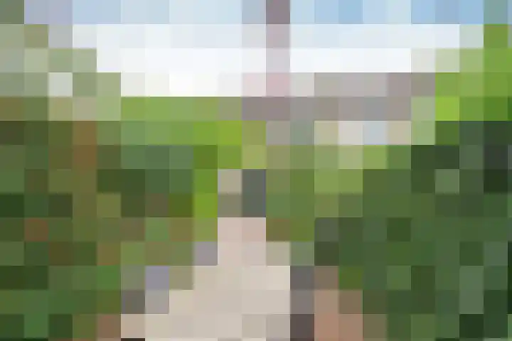 Biggekruid 3 Huizen thumbnail 19