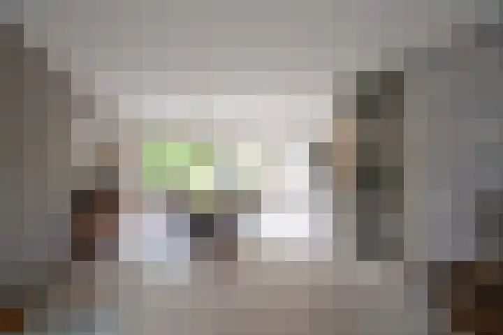 Biggekruid 3 Huizen thumbnail 4