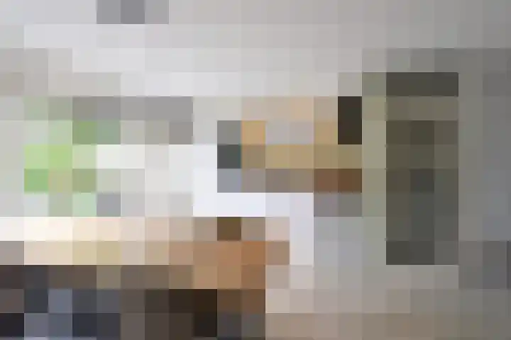 Biggekruid 3 Huizen thumbnail 5