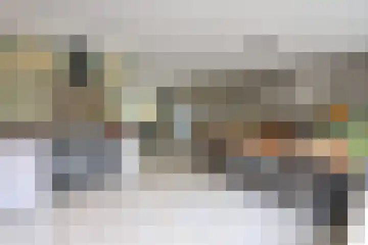 Biggekruid 3 Huizen thumbnail 6