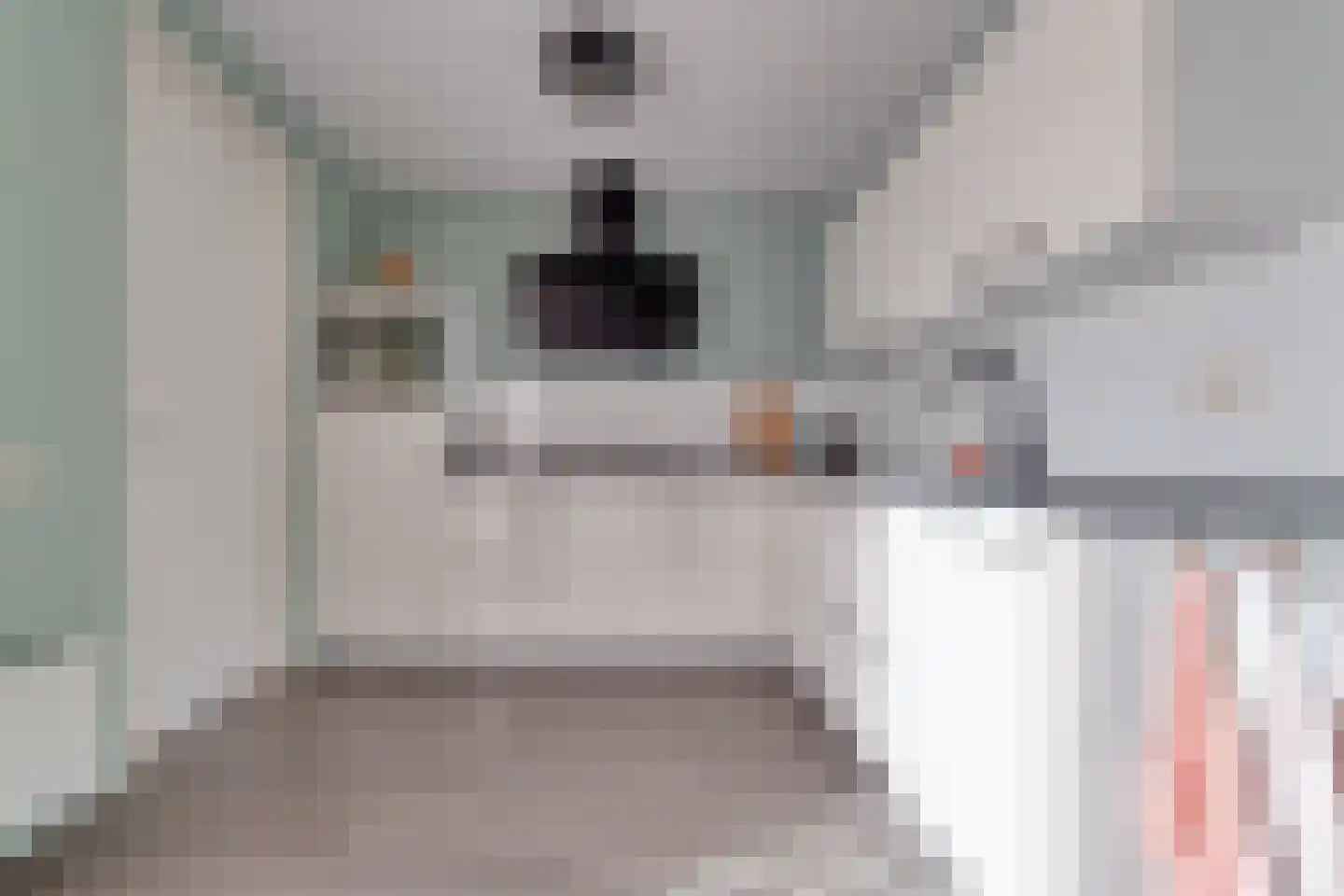 Biggekruid 42 Beilen thumbnail 11