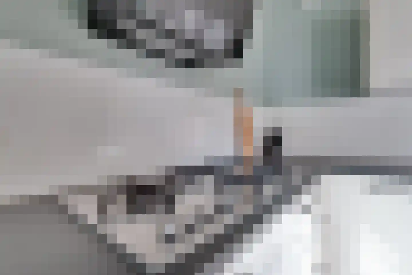 Biggekruid 42 Beilen thumbnail 13