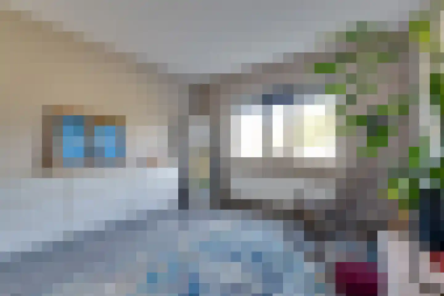Biggekruid 42 Beilen thumbnail 21