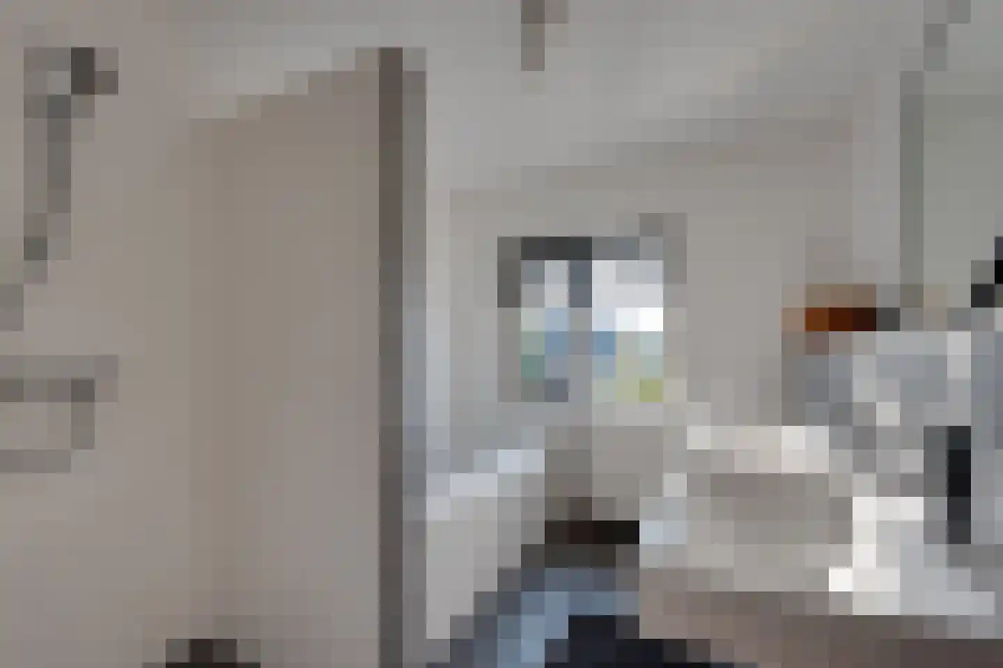 Biggekruid 42 Beilen thumbnail 25
