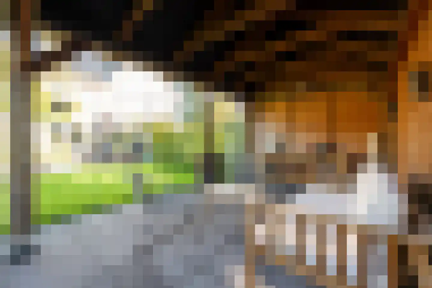 Biggekruid 42 Beilen thumbnail 33