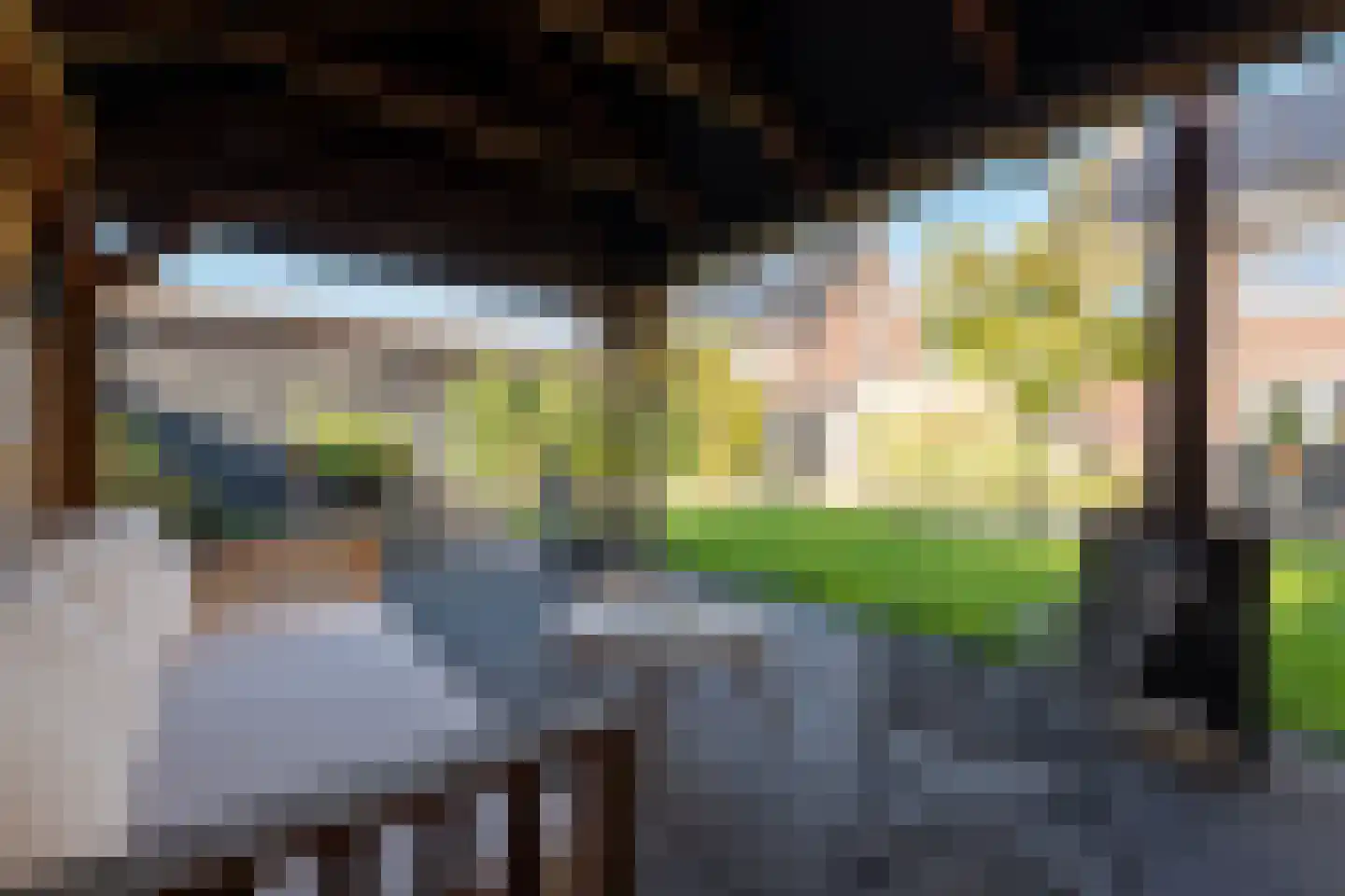 Biggekruid 42 Beilen thumbnail 34
