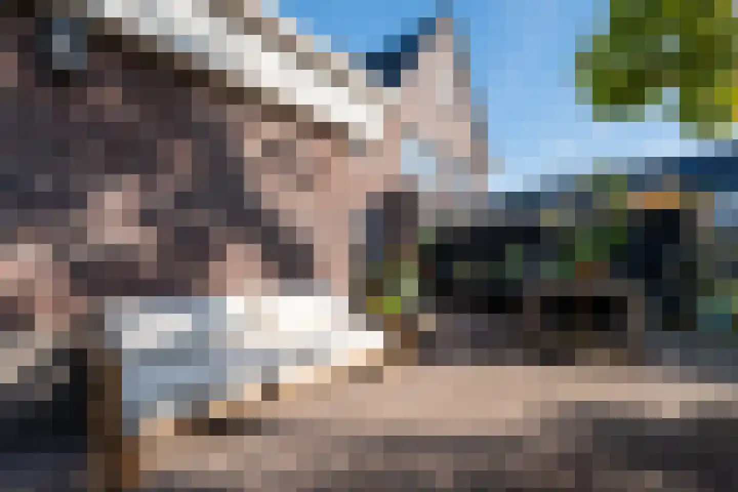 Biggekruid 42 Beilen thumbnail 37