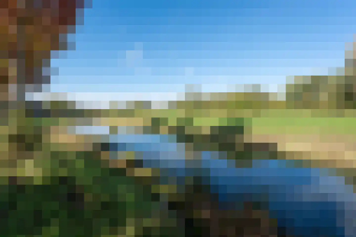 Biggekruid 42 Beilen thumbnail 39