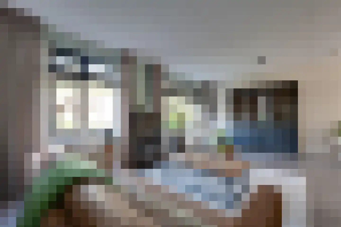 Biggekruid 42 Beilen thumbnail 6