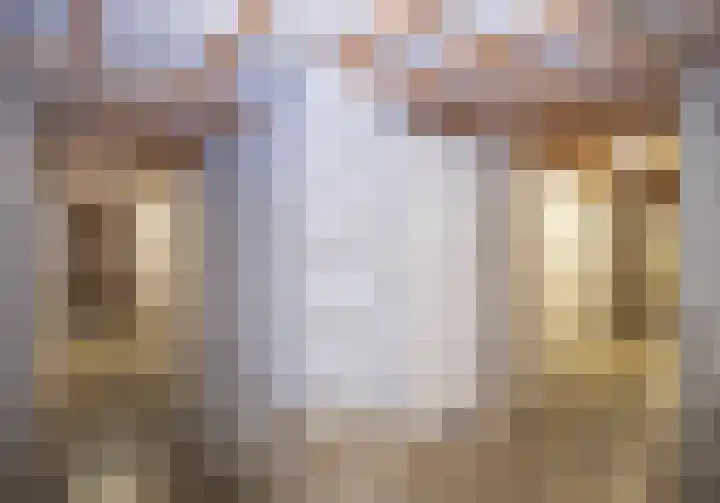 Biggenstraat 24 Uden thumbnail 30