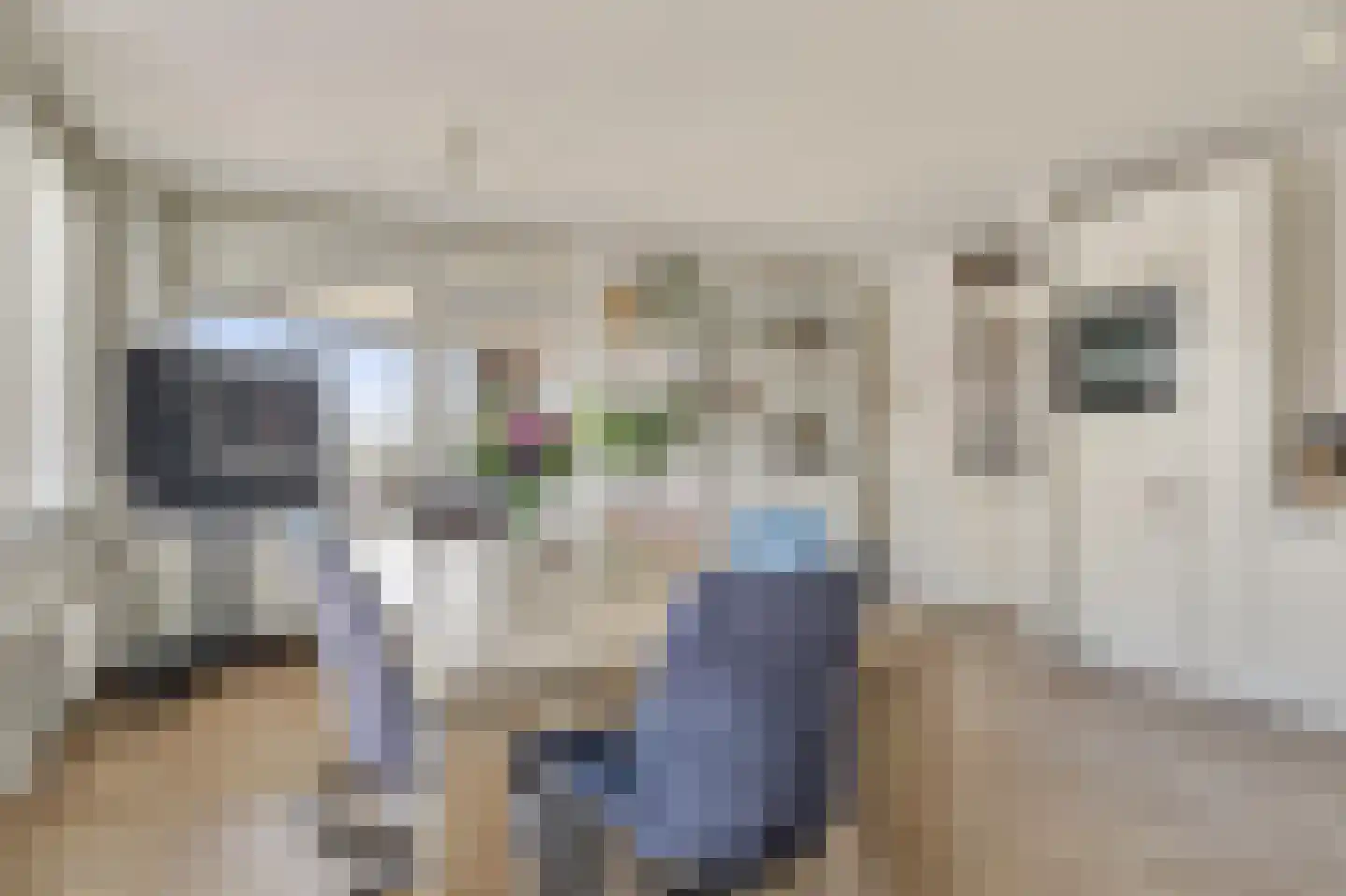 Biggenstraat 25 Uden thumbnail 12