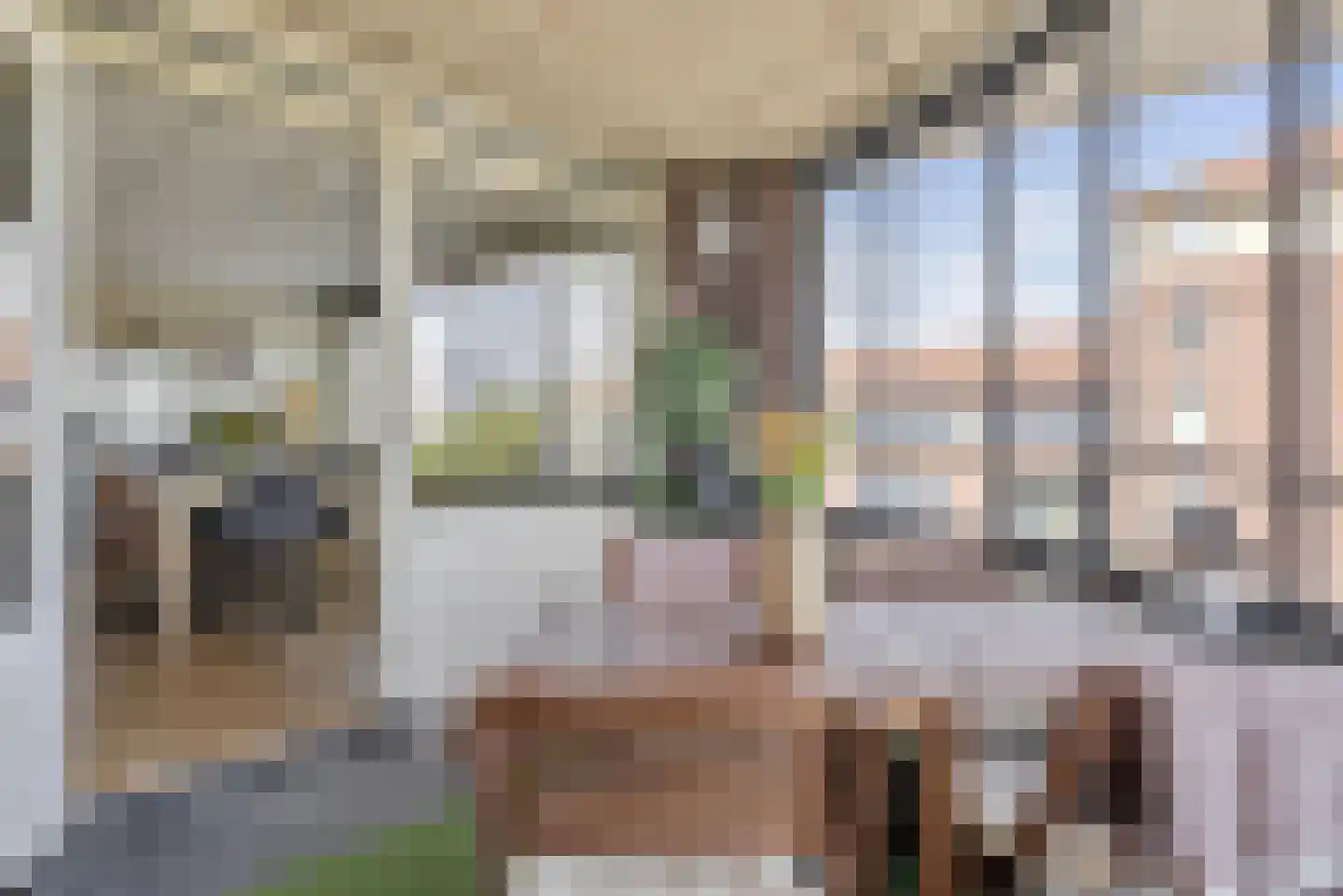Biggenstraat 25 Uden thumbnail 13