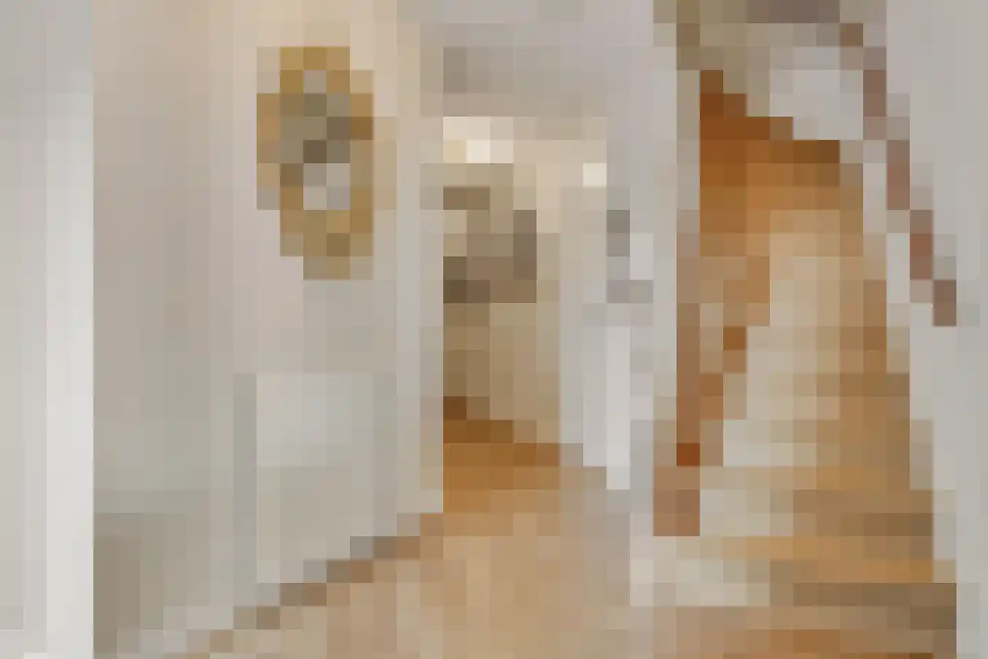 Biggenstraat 25 Uden thumbnail 18