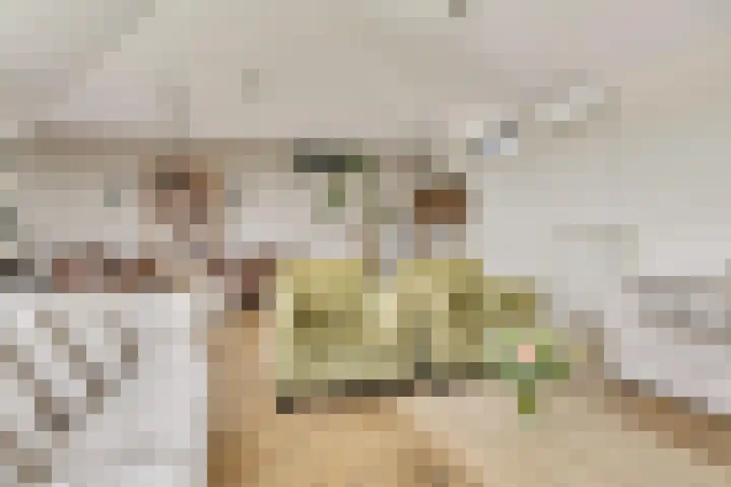 Biggenstraat 25 Uden thumbnail 24