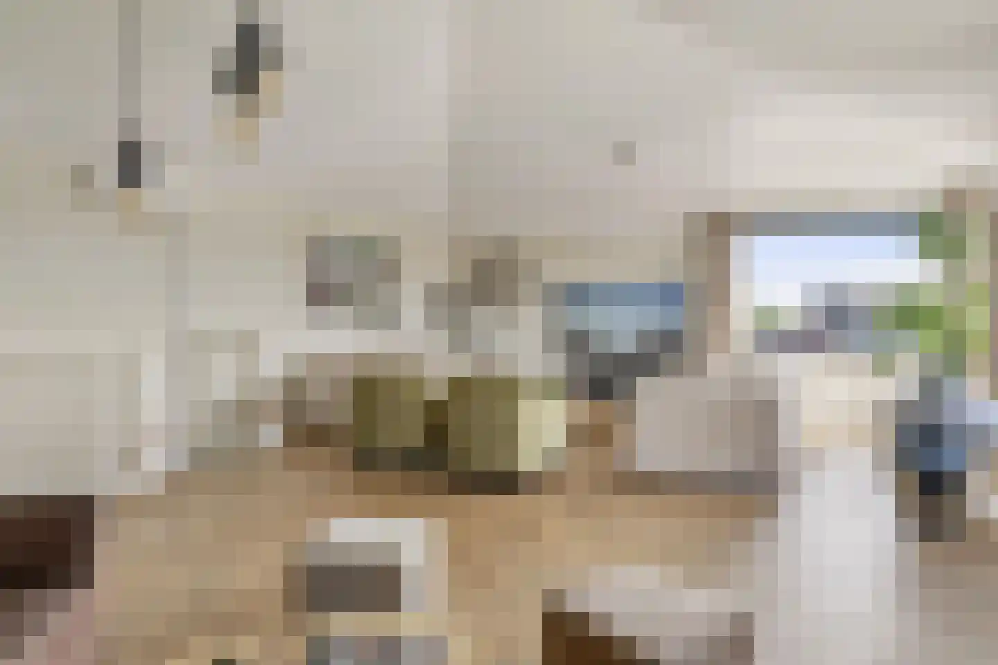 Biggenstraat 25 Uden thumbnail 25