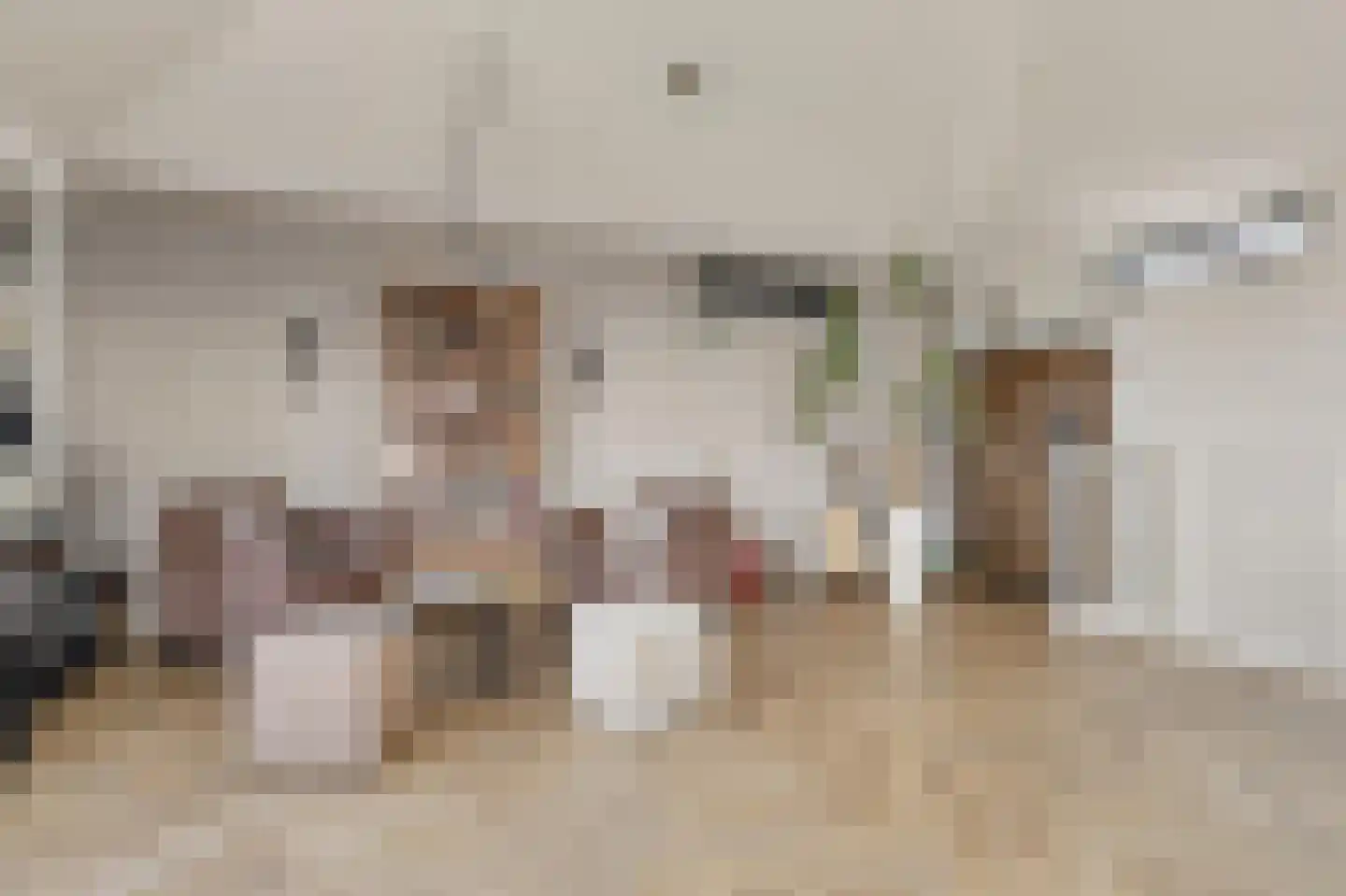 Biggenstraat 25 Uden thumbnail 28