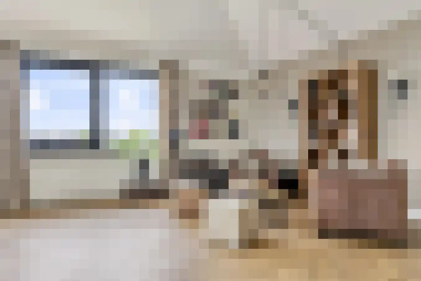 Biggenstraat 25 Uden thumbnail 29