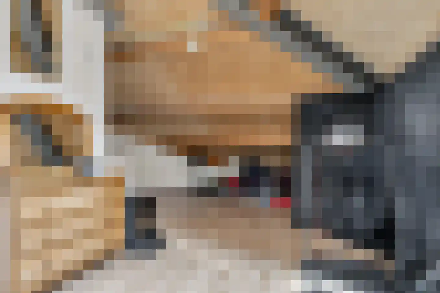 Biggenstraat 25 Uden thumbnail 31