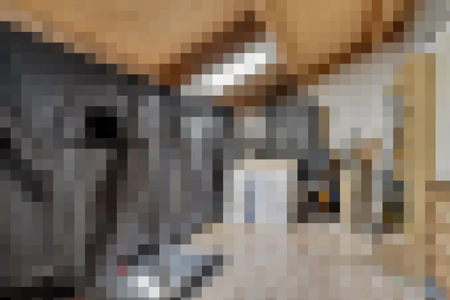 Biggenstraat 25 Uden thumbnail 32
