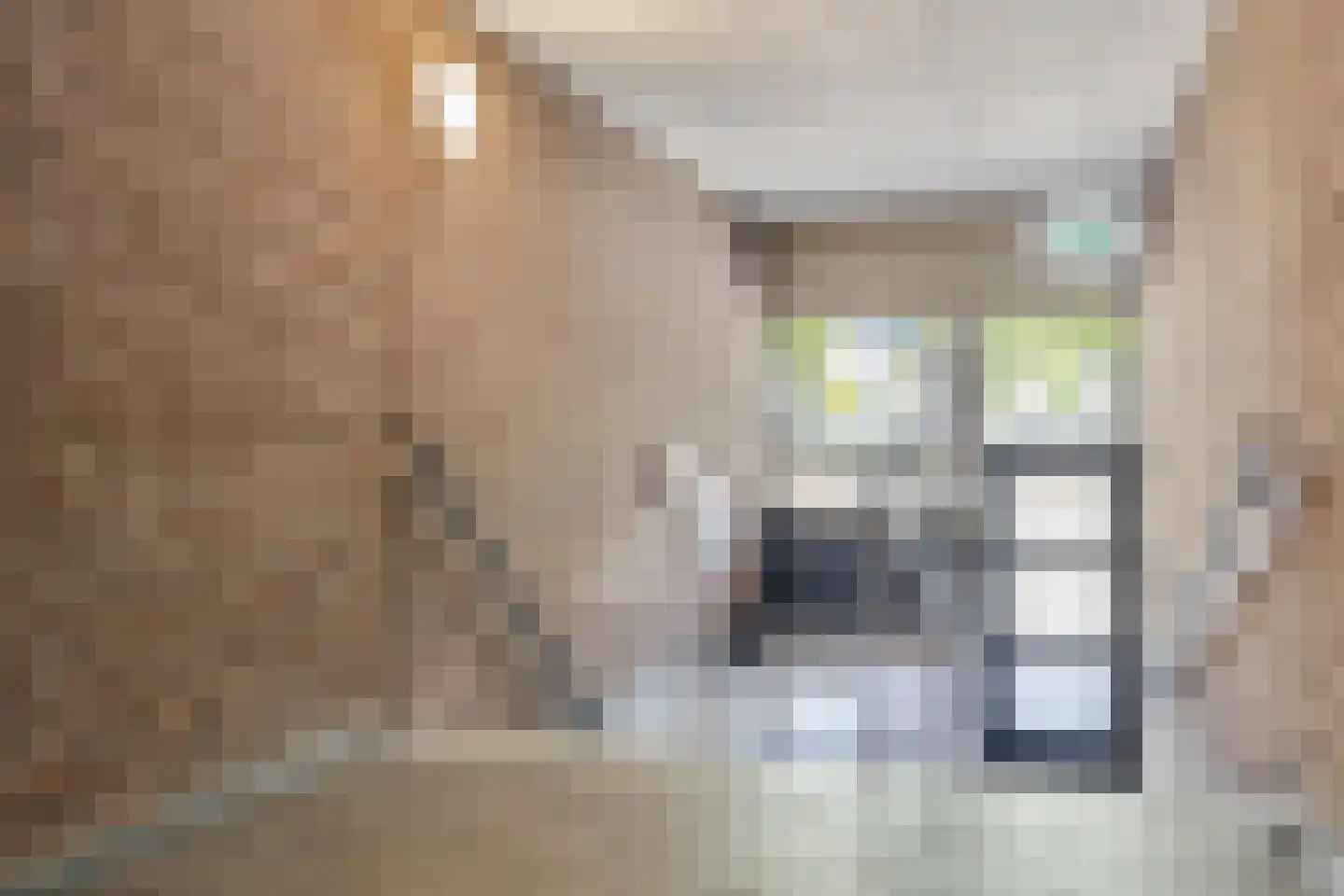 Biggenstraat 25 Uden thumbnail 8