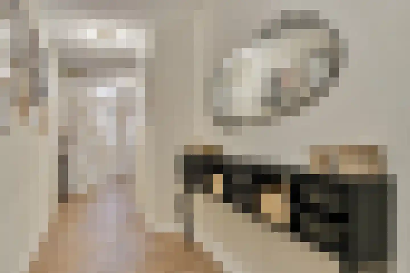 Biggenstraat 25 Uden thumbnail 9