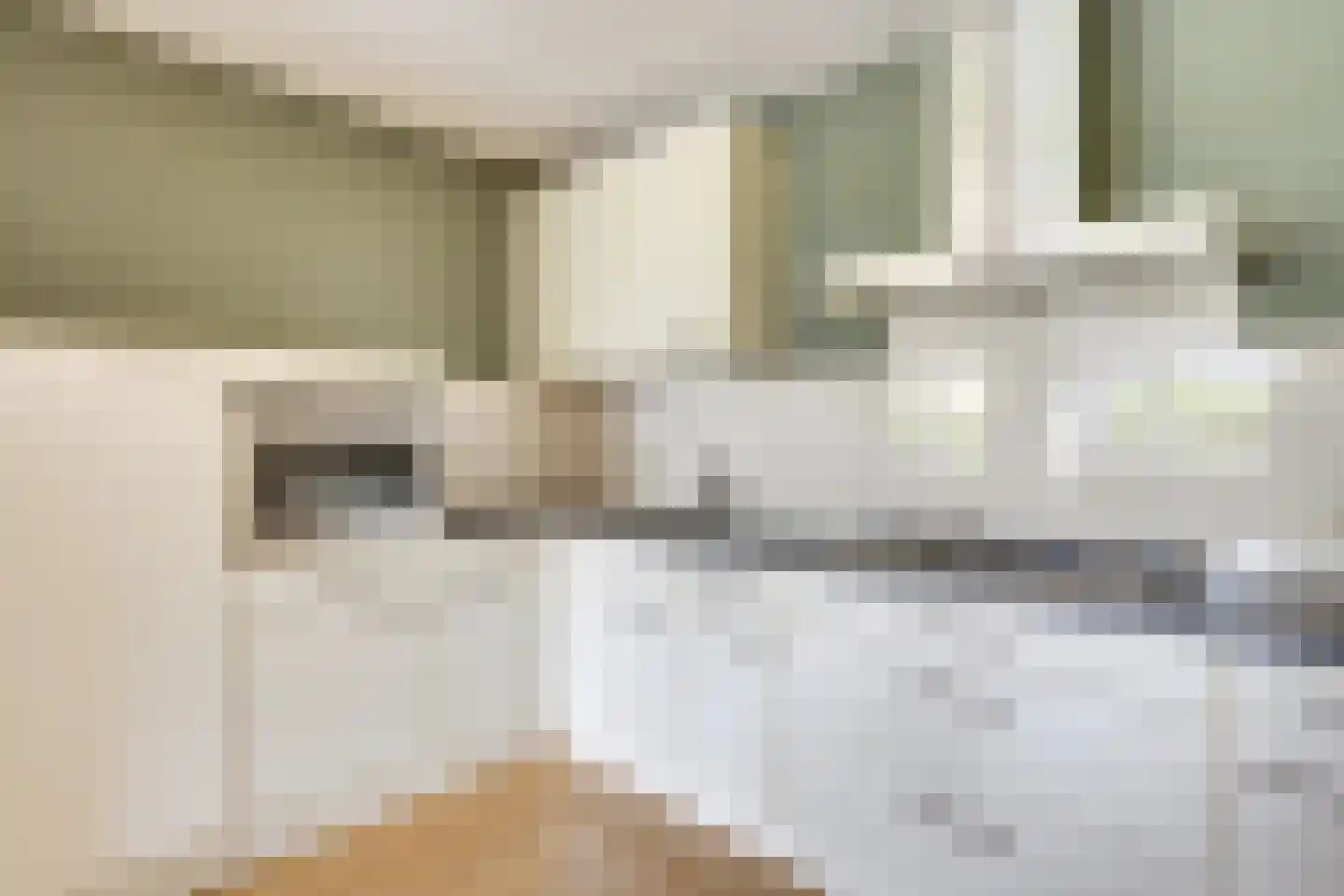 Biggenstraat 31 Uden thumbnail 10