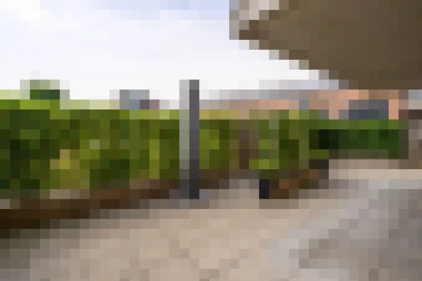 Biggenstraat 31 Uden thumbnail 19